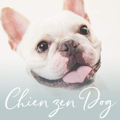 Chien zen Dog