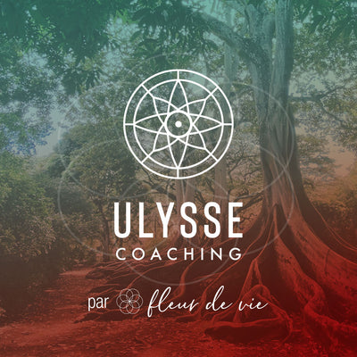 Ulysse Coaching